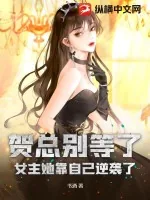 《贺总别等了,女主她靠自己逆袭了》小说封面