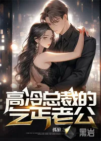 《高冷总裁的乞丐老公》小说封面