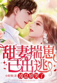 《甜妻揣崽已出逃，凌总别哭了》小说封面
