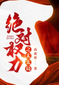 《绝对权力之太太局》小说封面