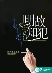 《明知故犯》小说封面
