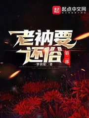 《老衲要还俗第二部》小说封面