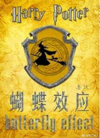 《[HP]蝴蝶效应》小说封面