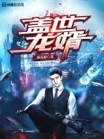 《盖世龙婿》小说封面