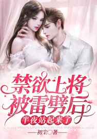《禁欲上将被雷劈后，半夜站起来了》小说封面