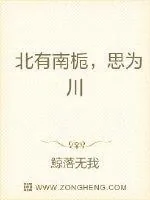 《北有南栀，思为川》小说封面
