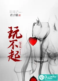 《玩不起》小说封面