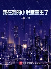 《我在我的小说里重生了》小说封面