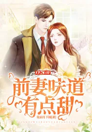 《前妻味道有点甜》小说封面