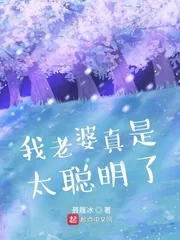 《我老婆真是太聪明了》小说封面