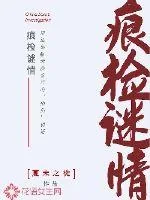 《痕检谜情》小说封面