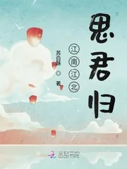 《江南江北思君归》小说封面