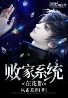 《败家系统在花都》小说封面