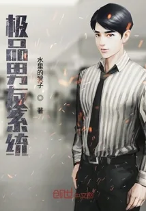 《极品男友系统》小说封面