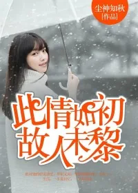 《此情如初,故人未黎》小说封面